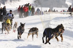Lenk 2012 SM